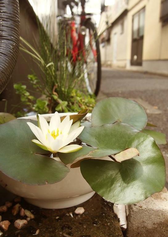 Love Kyoto Kyoenkan Δωμάτιο φωτογραφία